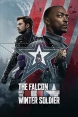 Notnon The Falcon and the Winter Soldier (2021) Subtitle Indonesia