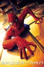 Notnon Spider-Man (2002) Subtitle Indonesia