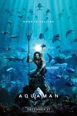 Notnon Aquaman (2018) Subtitle Indonesia