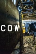 Nonton Cow (2022) Subtitle Indonesia