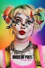 Notnon Birds of Prey (and the Fantabulous Emancipation of One Harley Quinn) (2020) Subtitle Indonesia