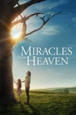 Notnon Miracles from Heaven (2016) Subtitle Indonesia