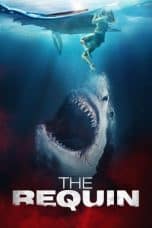 Notnon The Requin (2022) Subtitle Indonesia