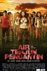 Nonton Air Terjun Pengantin (2009) Subtitle Indonesia