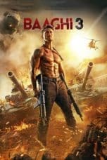 Notnon Baaghi 3 (2020) Subtitle Indonesia