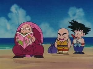 Dragon Ball Season 1 Episode 14