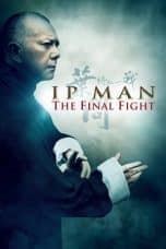 Notnon Ip Man: The Final Fight (2013) Subtitle Indonesia