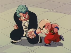 Dragon Ball Season 1 Episode 24