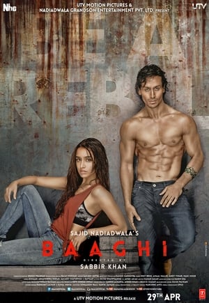 Baaghi (2016)