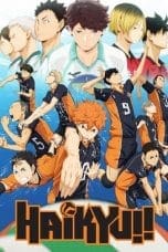 Notnon Haikyu!! (2014) Subtitle Indonesia