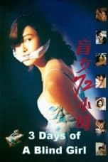 Notnon 3 Days of a Blind Girl (1993) Subtitle Indonesia