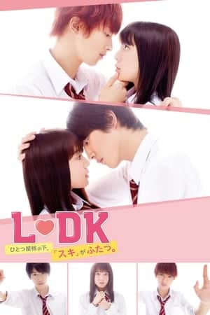 L♡DK: Two Loves Under One Roof (2014)