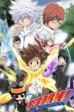 Katekyo Hitman REBORN! Season 1-8 (2010)