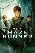 Notnon The Maze Runner (2014) Subtitle Indonesia