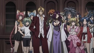 High School DxD Season 1 Episode 8