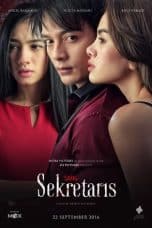 Notnon Sang Sekretaris (2016) Subtitle Indonesia