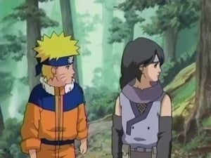 Naruto Season 4 Episode 178