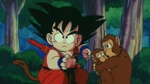 Dragon Ball Season 1 Episode 33