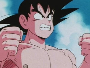 Dragon Ball Season 1 Episode 144