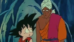 Dragon Ball Season 1 Episode 29