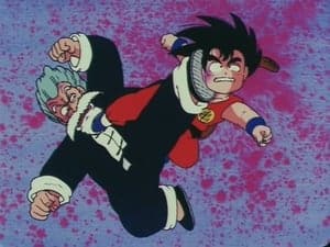 Dragon Ball Season 1 Episode 28