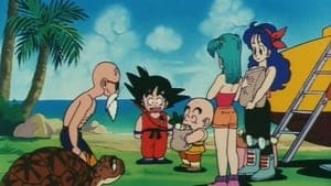 Dragon Ball Season 1 Episode 47