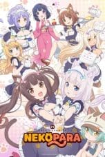 Notnon Nekopara (2020) Subtitle Indonesia