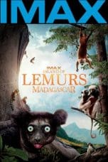 Notnon Island of Lemurs: Madagascar Subtitle Indonesia