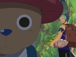 One Piece Season 6 Episode 166