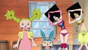 One Piece Season 9 Episode 314