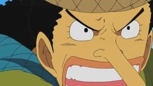 One Piece Season 9 Episode 303