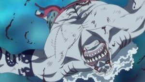 One Piece Season 14 Episode 567