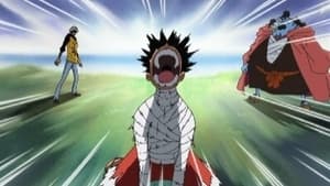 One Piece Season 13 Episode 491