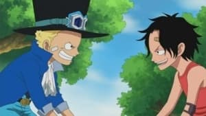 One Piece Season 13 Episode 494