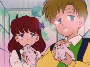 Sailor Moon Season 1 Episode 5