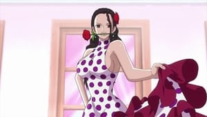 One Piece Season 17 Episode 696