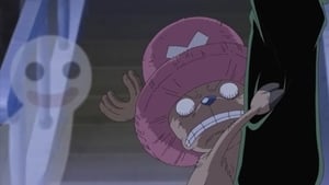 One Piece Season 10 Episode 337