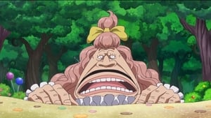 One Piece Season 18 Episode 792