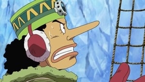 One Piece Season 9 Episode 329