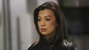 Marvel’s Agents Of S.H.I.E.L.D. Season 2 Episode 22