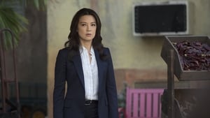 Marvel’s Agents Of S.H.I.E.L.D. Season 2 Episode 17