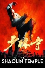 Shaolin Temple (Shao Lin si) (1982)