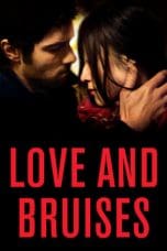 Love and Bruises (2011)