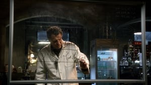 Fringe Season 4 Episode 21