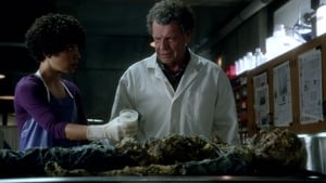 Fringe Season 4 Episode 3