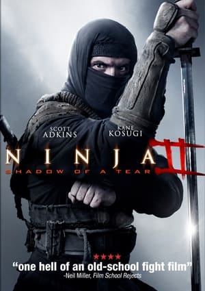 Ninja: Shadow Of A Tear (2013)