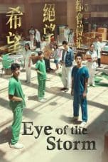 Notnon Eye of the Storm (2023) Subtitle Indonesia