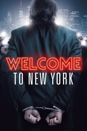 Welcome To New York (2014)