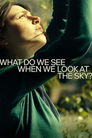 What Do We See When We Look At The Sky? (2021)