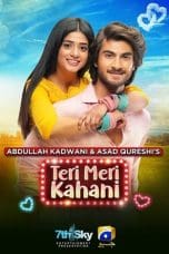 Notnon Teri Meri Kahani (2021) Subtitle Indonesia